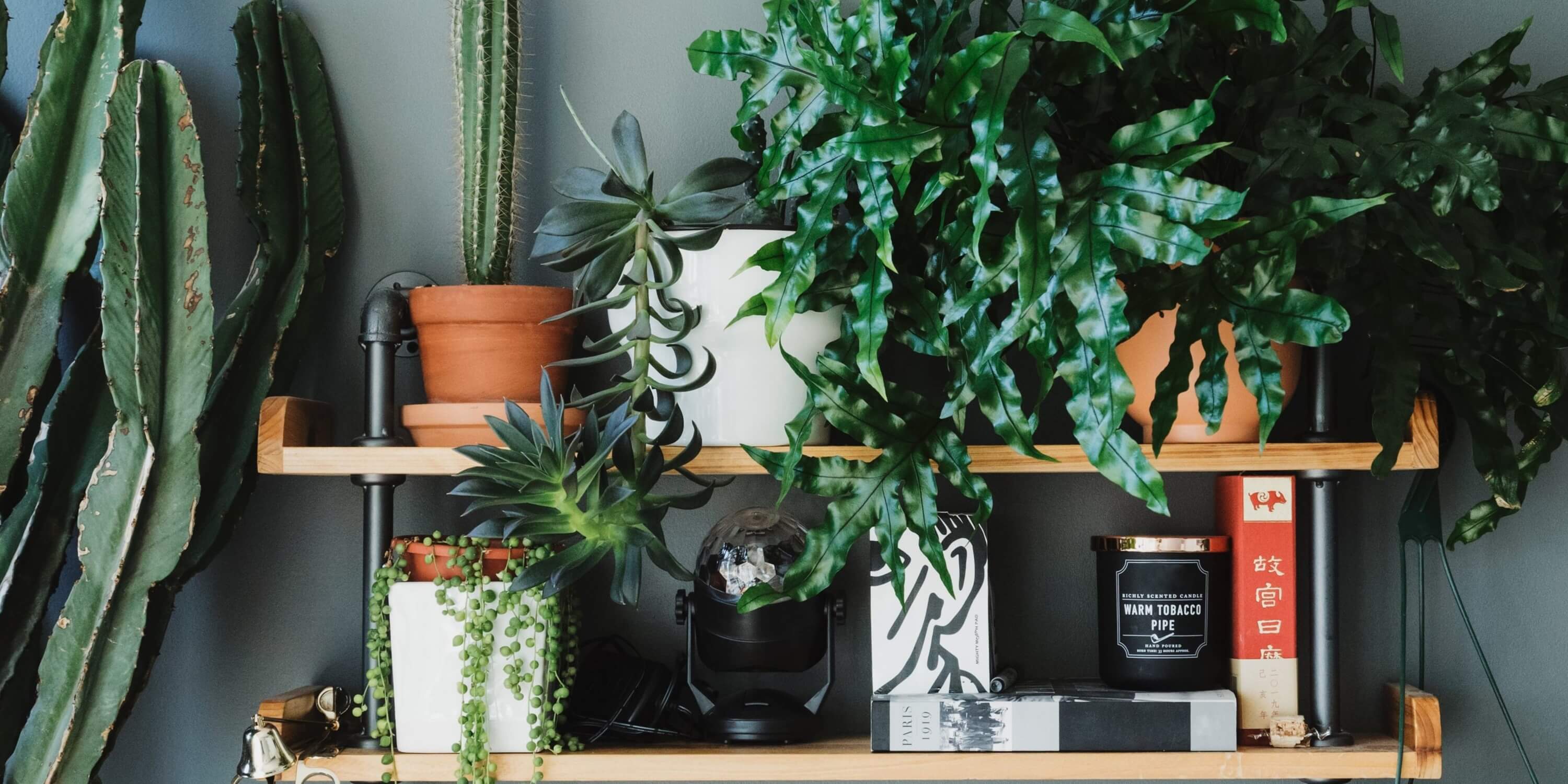 Outdoor Clocks & Wall Hangings