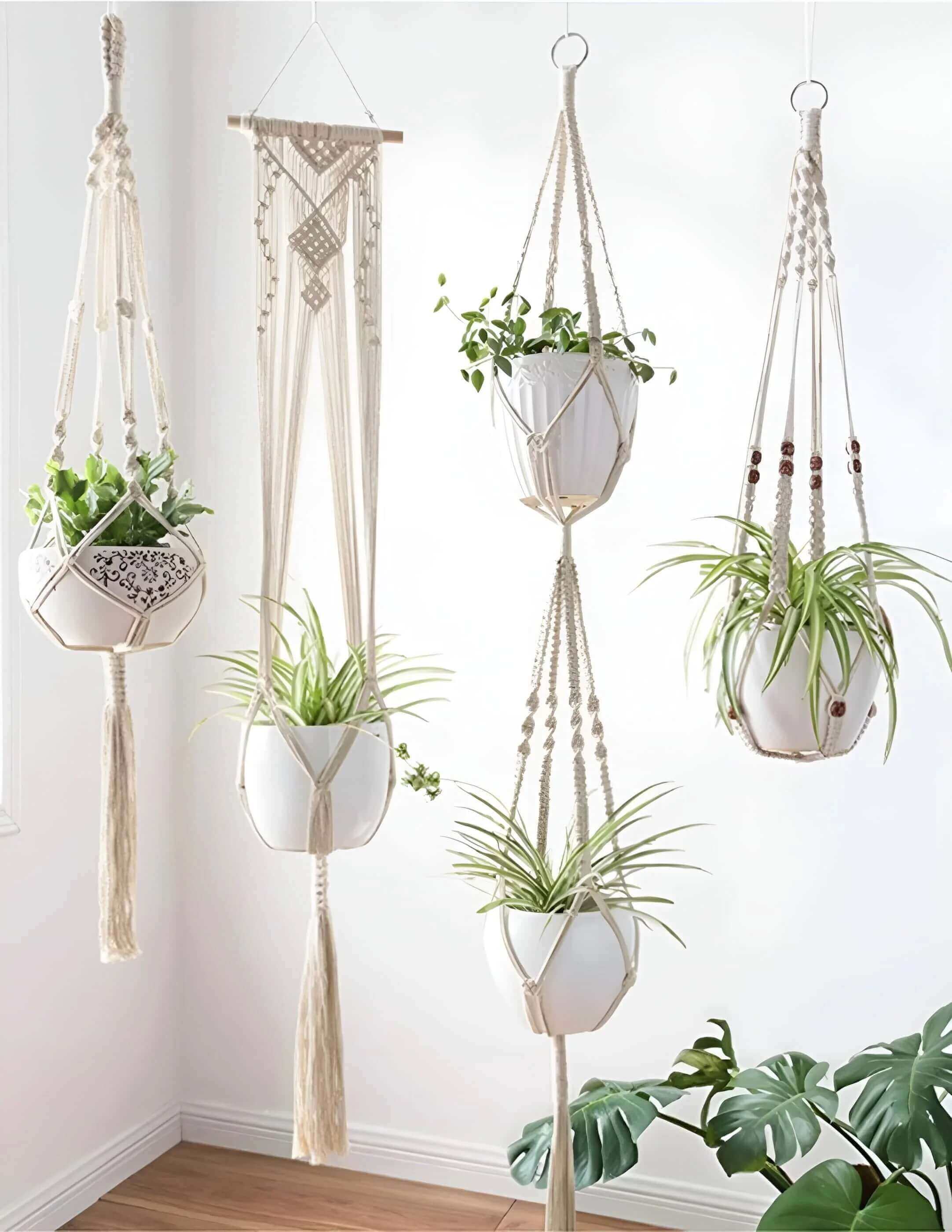 Hanging Planters