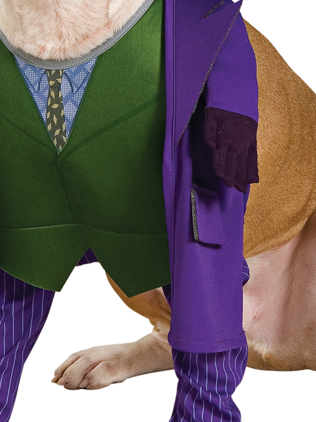 DC Comics The Joker Pet Costumes (Available in 4 Sizes)