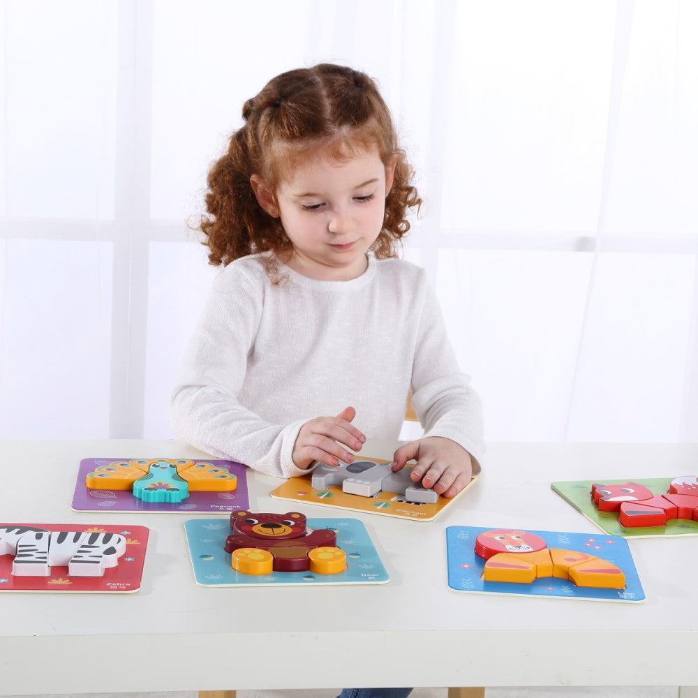 6 In 1 Mini Animal Shape Sorter Puzzle