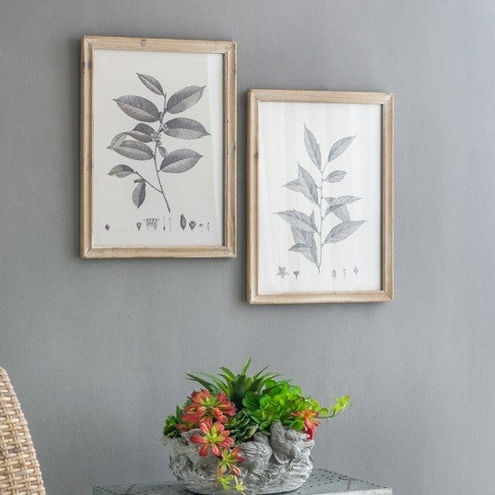 Botanical Wall Décor Frames Set of 4