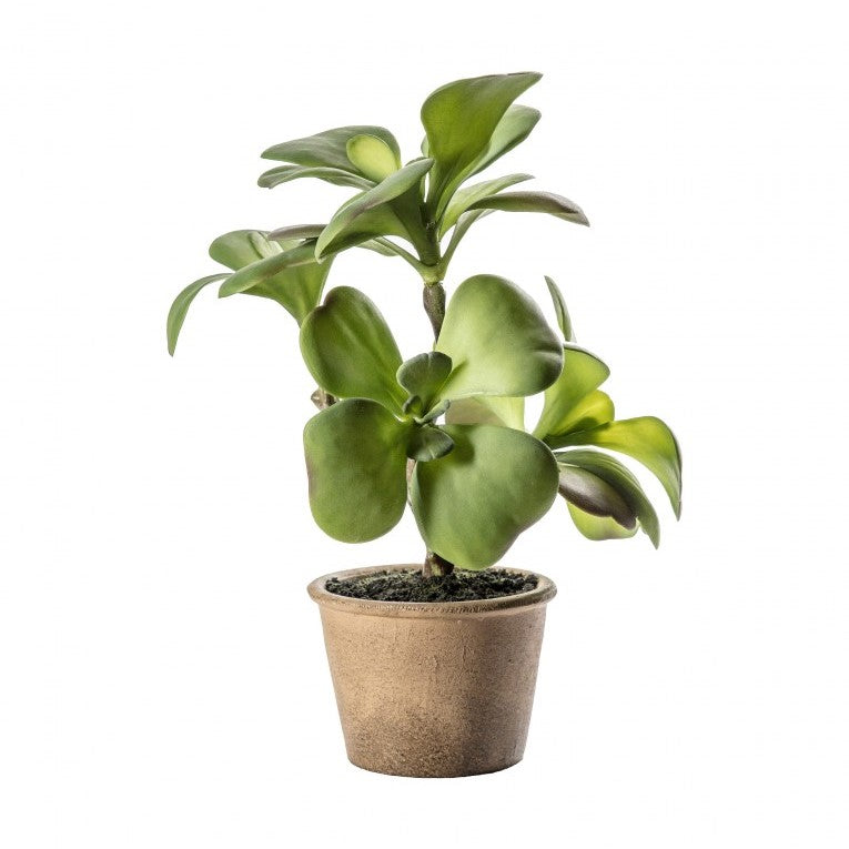 Artificial Kalanchoe Blossoms in Cement Pot