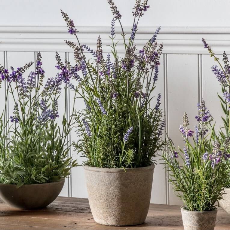 Serene Artificial Lavender in Cement Pot 56cms
