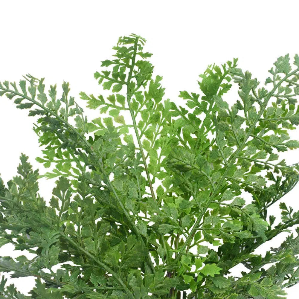 Faux Maiden Hair Fern Stem 40cms