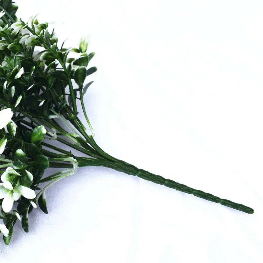 White Tipped Money Leaf Stem 32cms