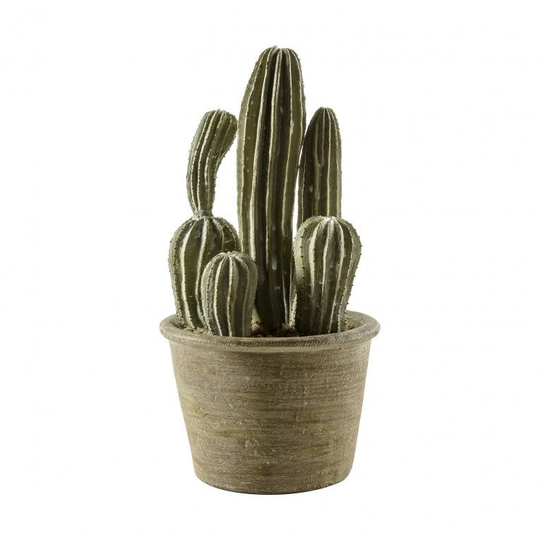 Ethereal Elevation Artificial San Pedro Cactus in Pot