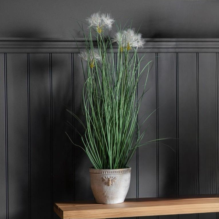 Potted Grass with Four Heads of Natural Beauty-White