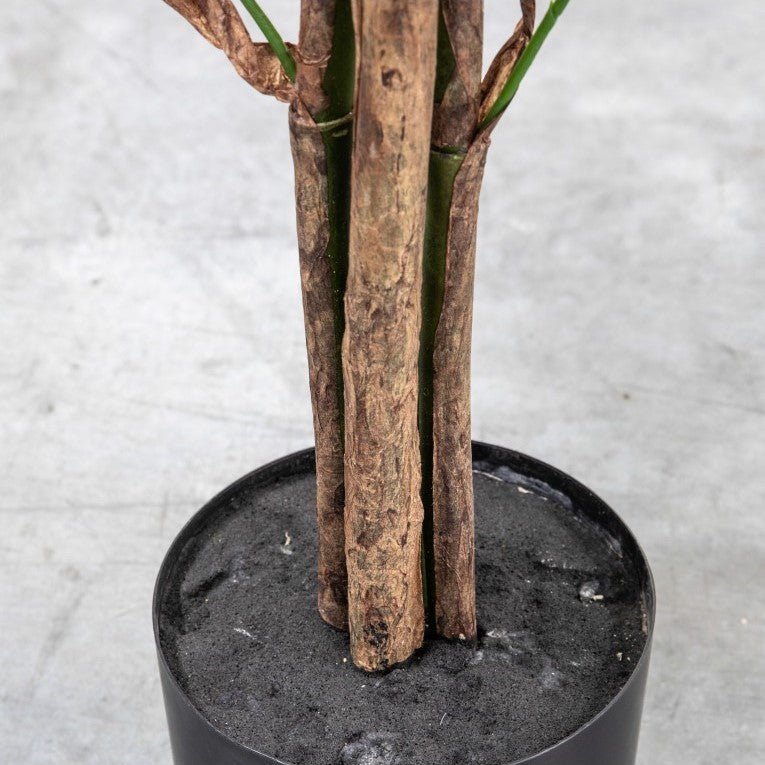 Tranquil Artificial Chinese Fan Palm Plant (Available in 2 Sizes)