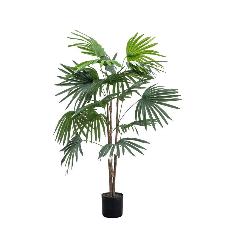Tranquil Artificial Chinese Fan Palm Plant (Available in 2 Sizes)