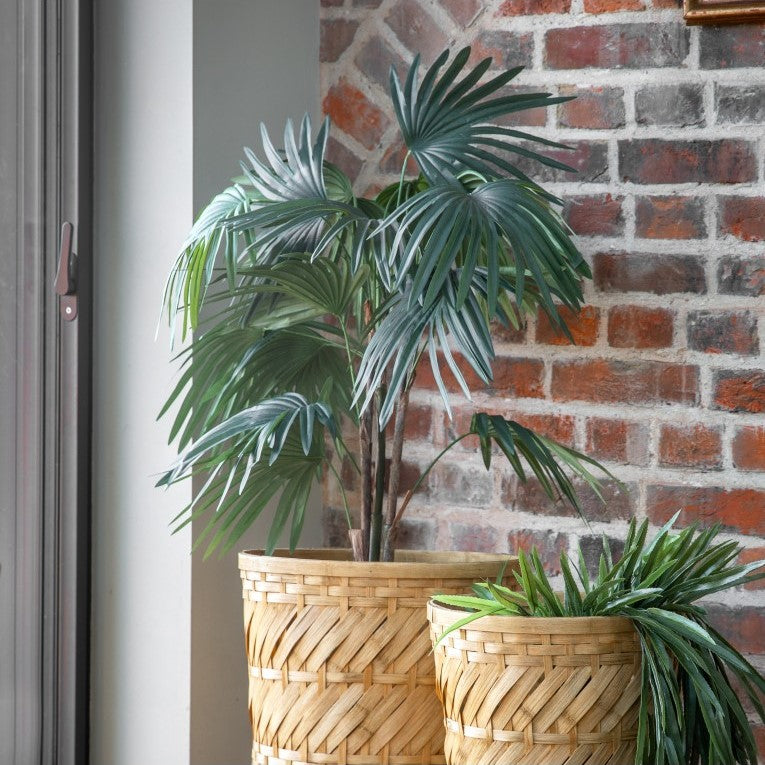 Tranquil Artificial Chinese Fan Palm Plant (Available in 2 Sizes)