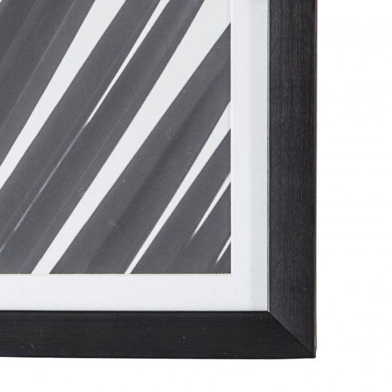 Island Essence Coconut Palm Framed Photographic Art