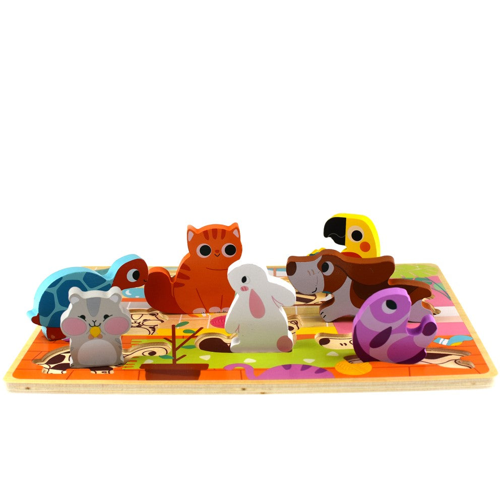 Toddlers Shape Sorter & Matching Puzzle Game - Pet