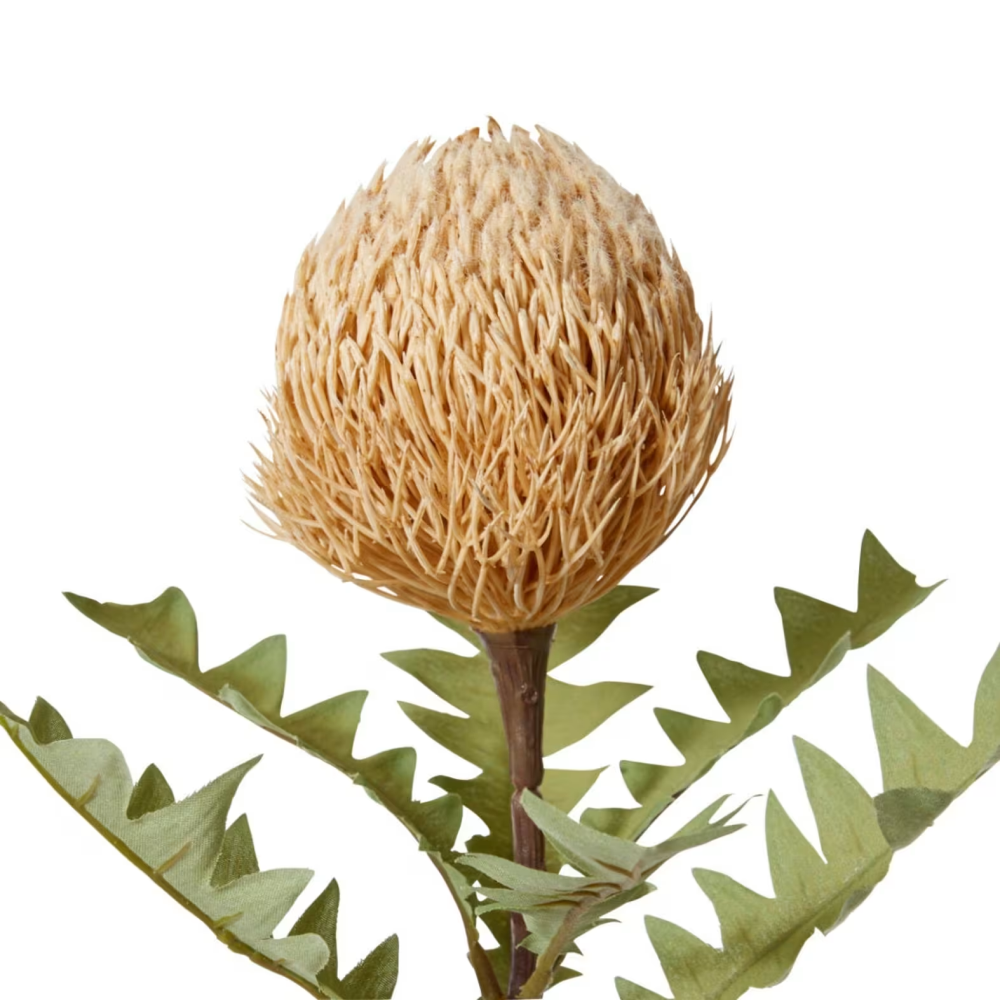 Artificial Banksia Ba X Teri Stem - Beige - 69cms