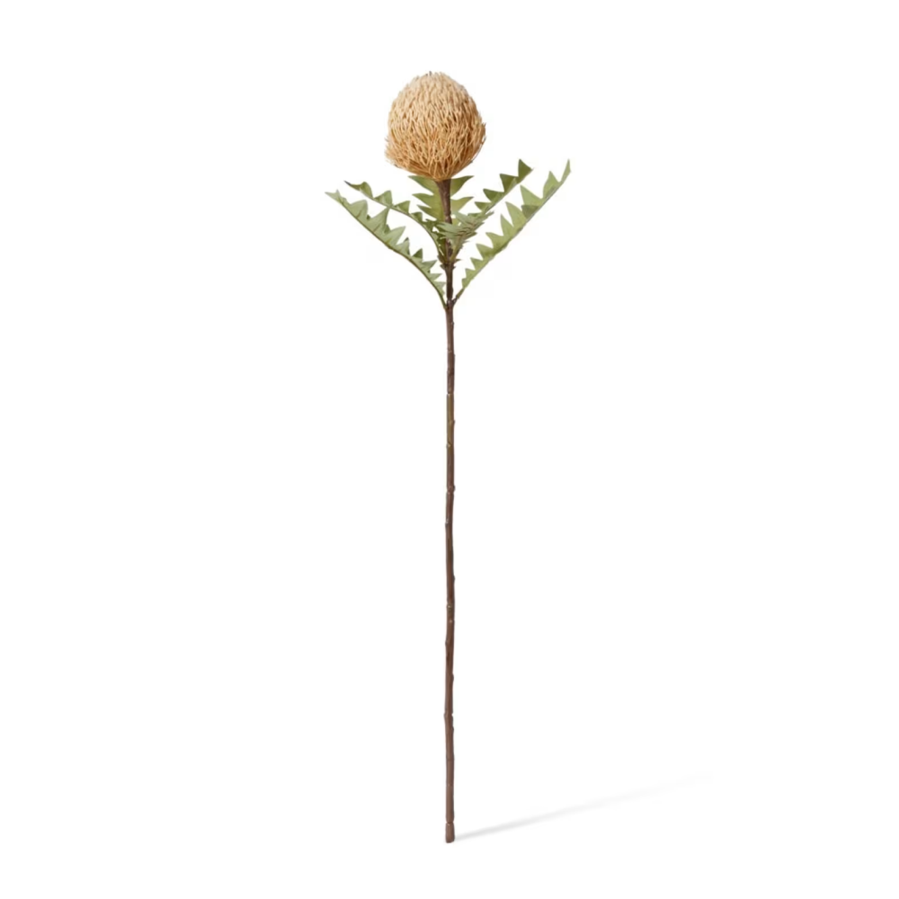 Artificial Banksia Ba X Teri Stem - Beige - 69cms