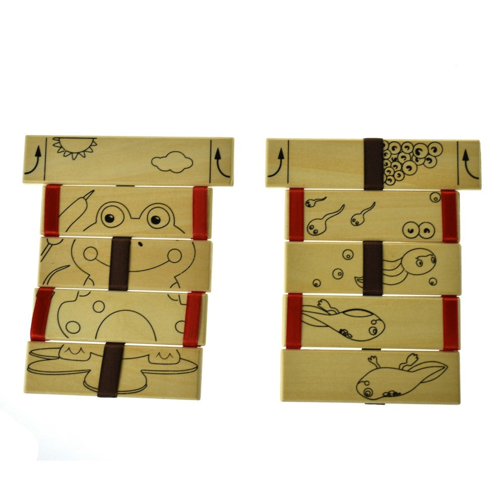 12 Colours Washable Crayons With Set of 2 Ladder Toys