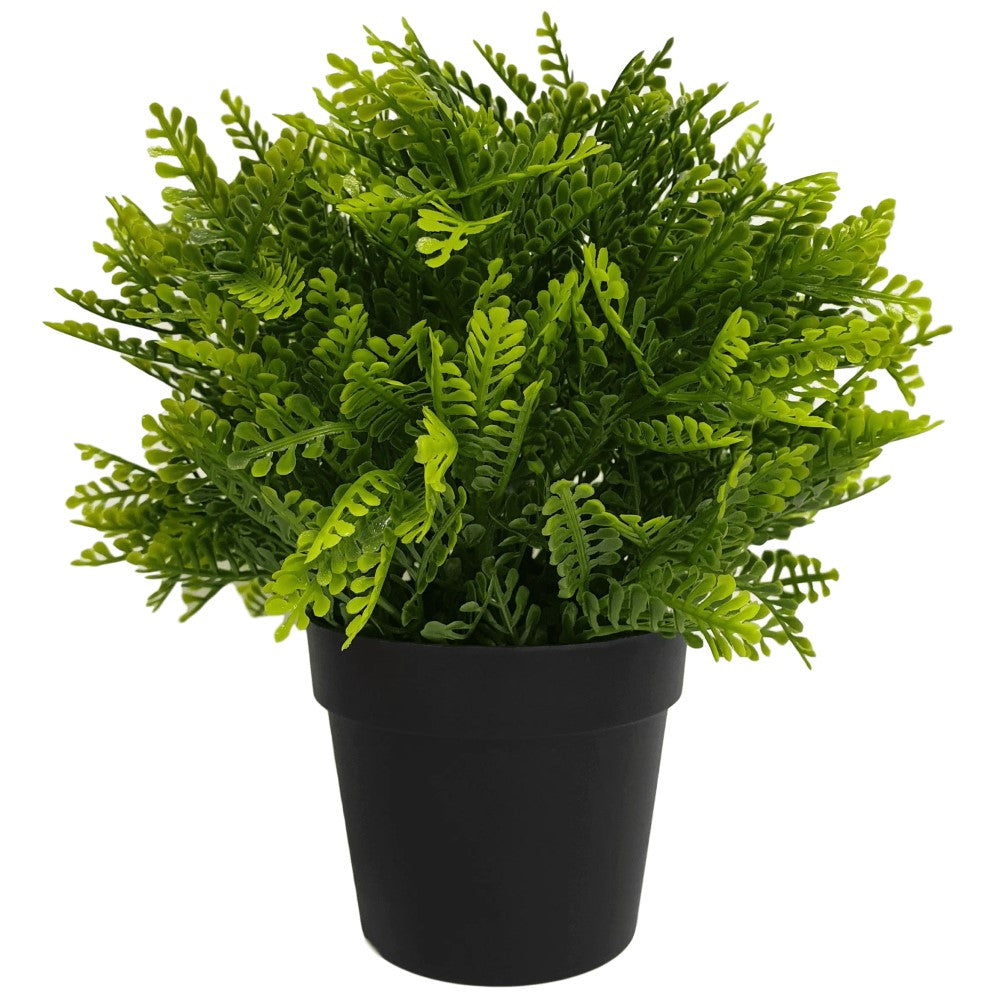 Allure Artificial UV Resistant Mimosa Fern 20cms