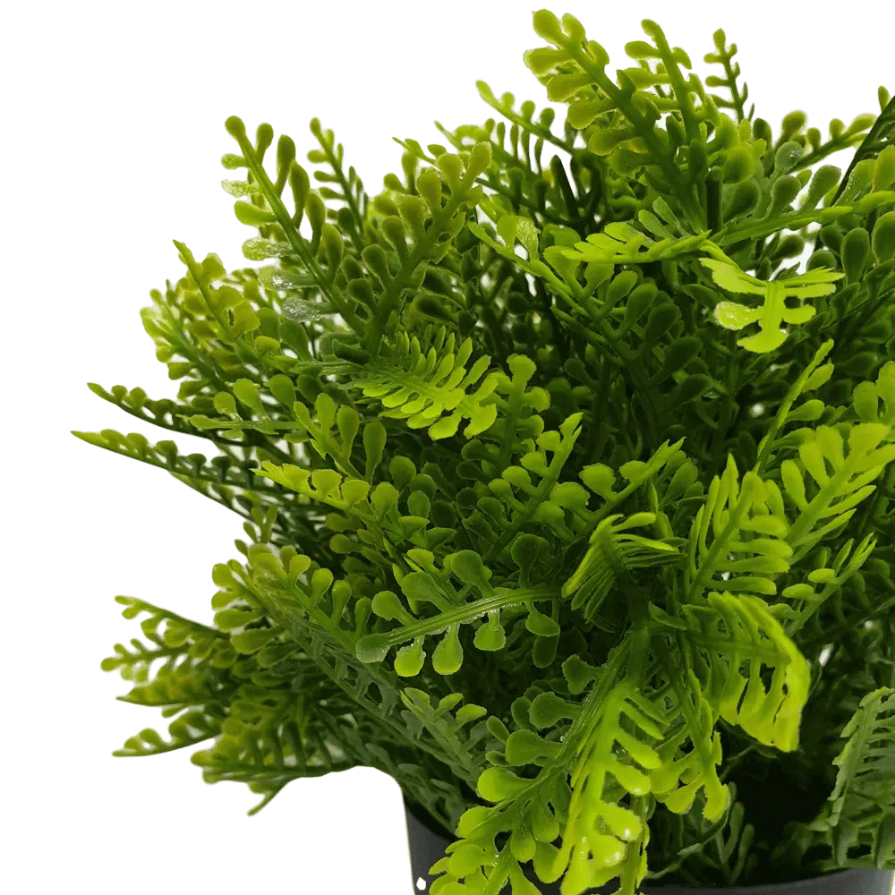 Allure Artificial UV Resistant Mimosa Fern 20cms