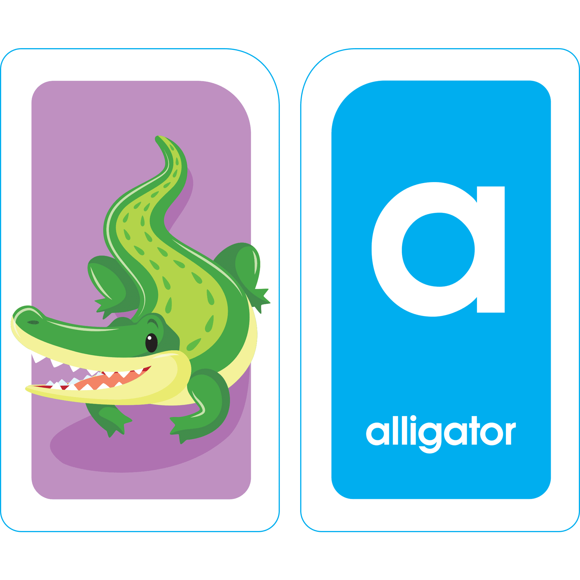 Alphabet School Zone Flash Cards
