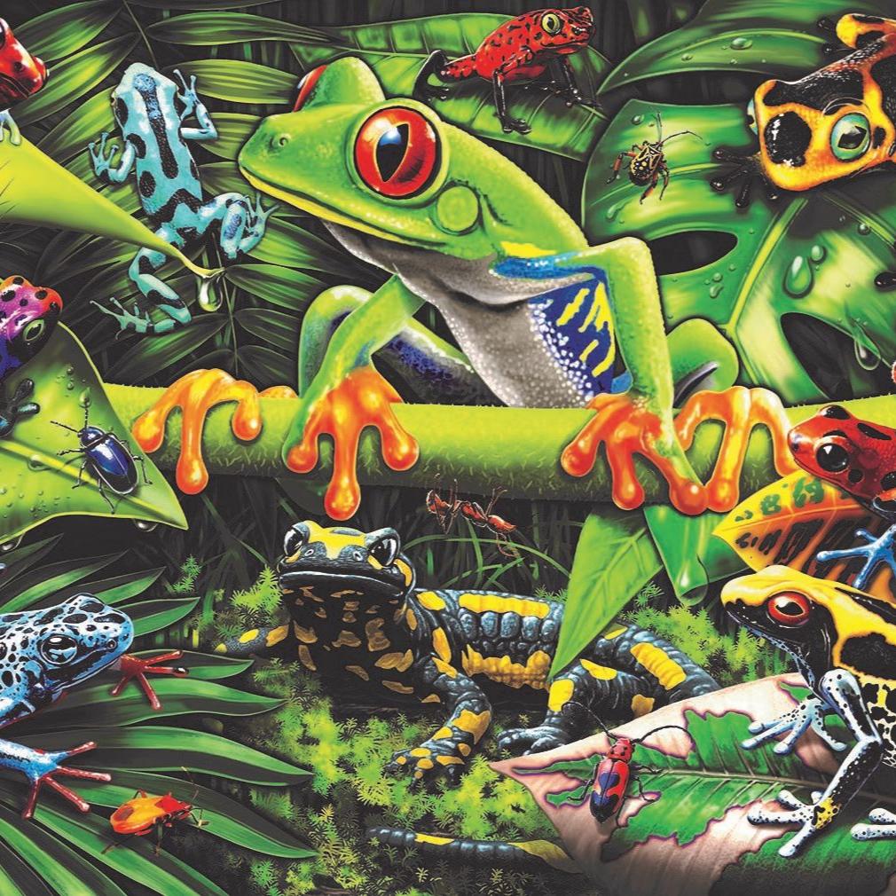 Amazing Amphibians 35 Piece Puzzle