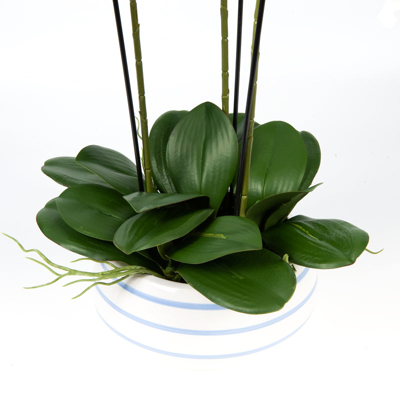 Artificial 21 Butterfly Orchid White Ceramic Pot - 64cms