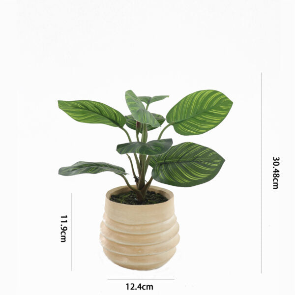 Artificial Arrowroot Plant in Ceramic Pot