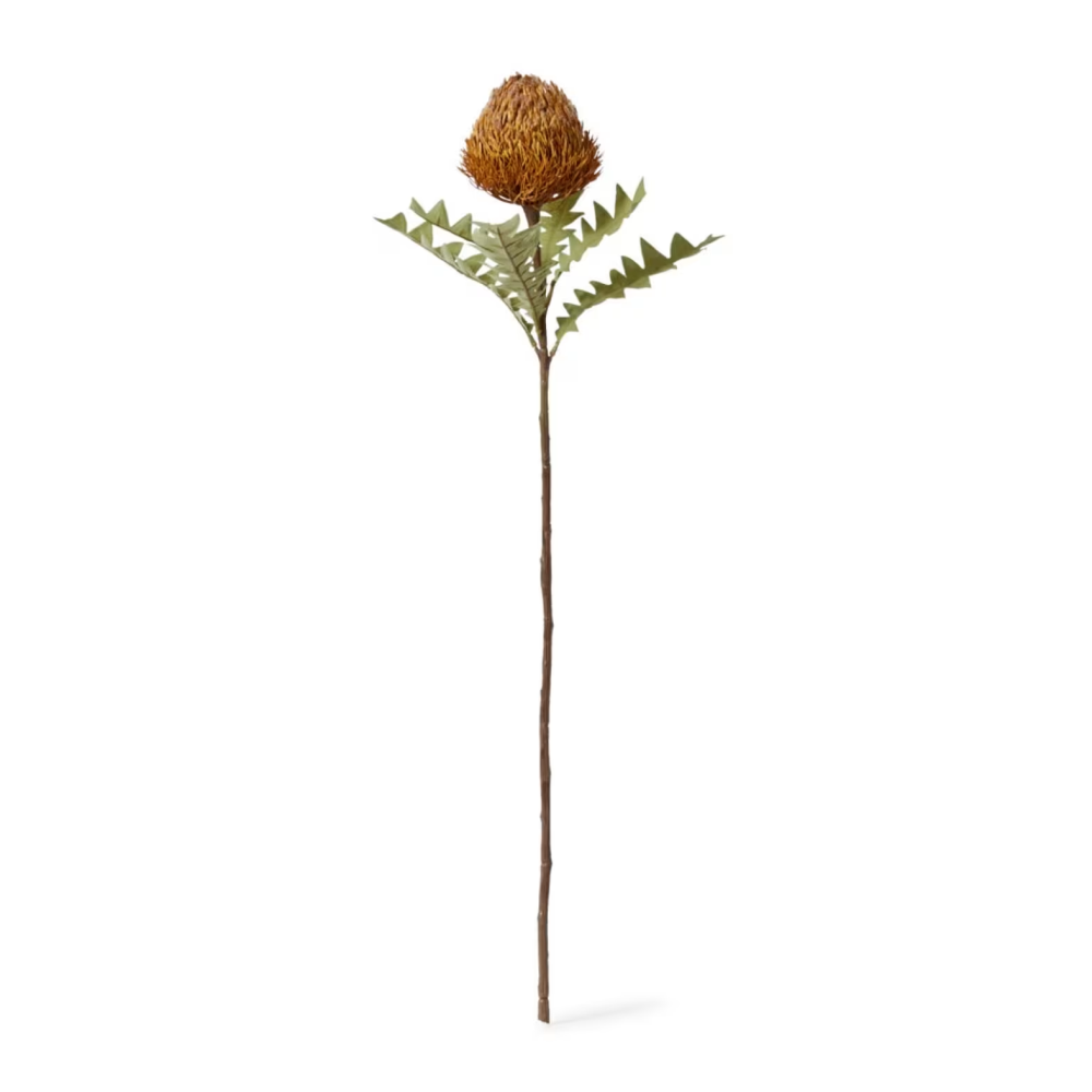 Artificial Banksia Ba X Teri Stem - Rust - 69cms