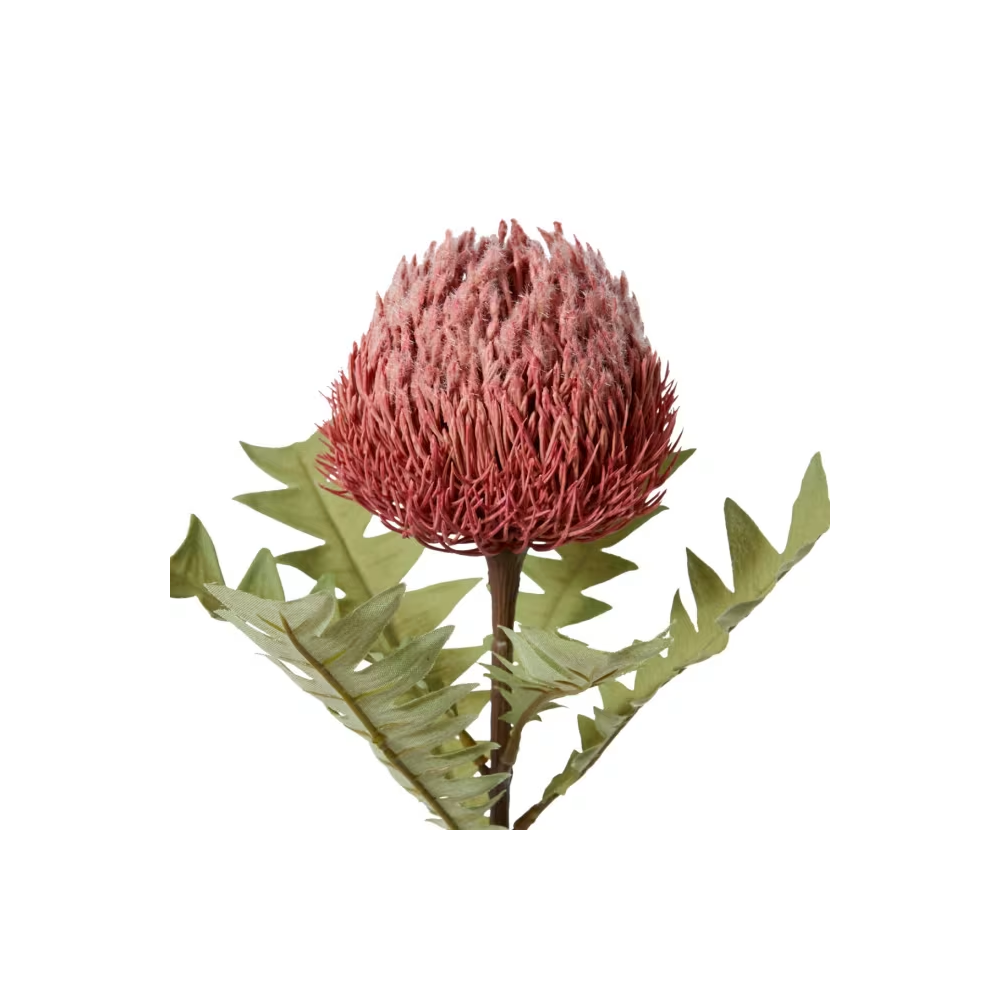 Artificial Banksia Ba X Teri Stem - Pink - 69cms