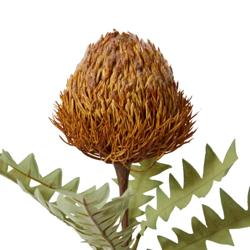 Artificial Banksia Ba X Teri Stem - Rust - 69cms