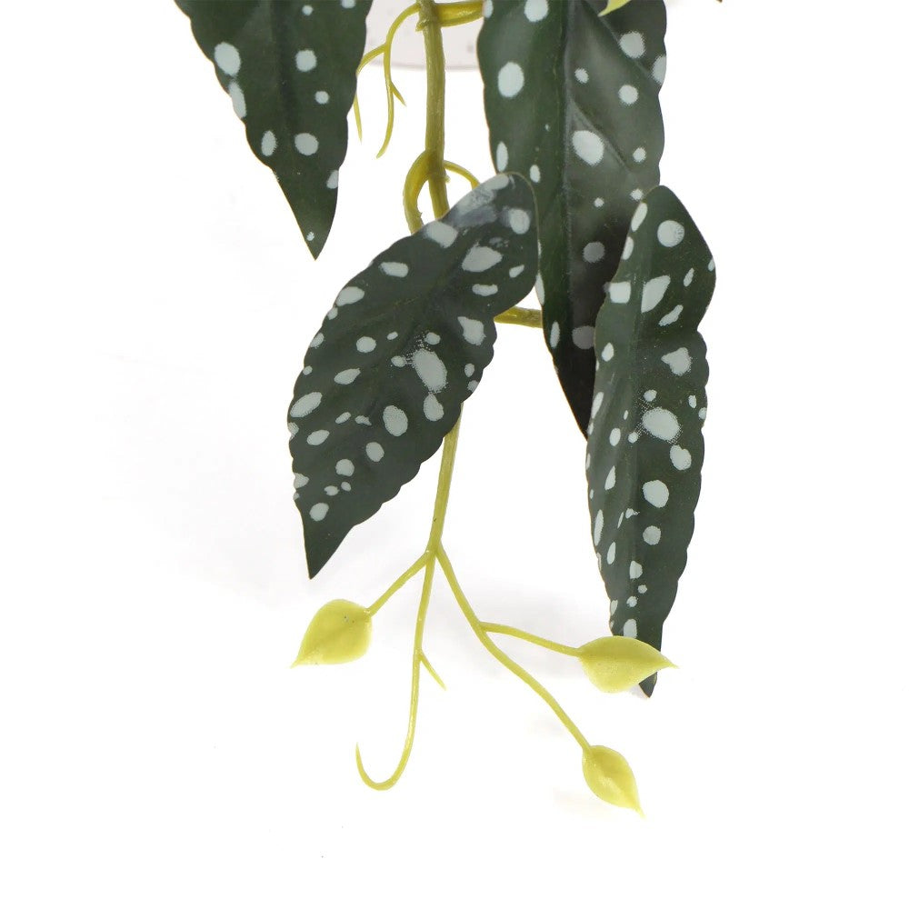 Artificial Begonia Maculata Plant 30cms