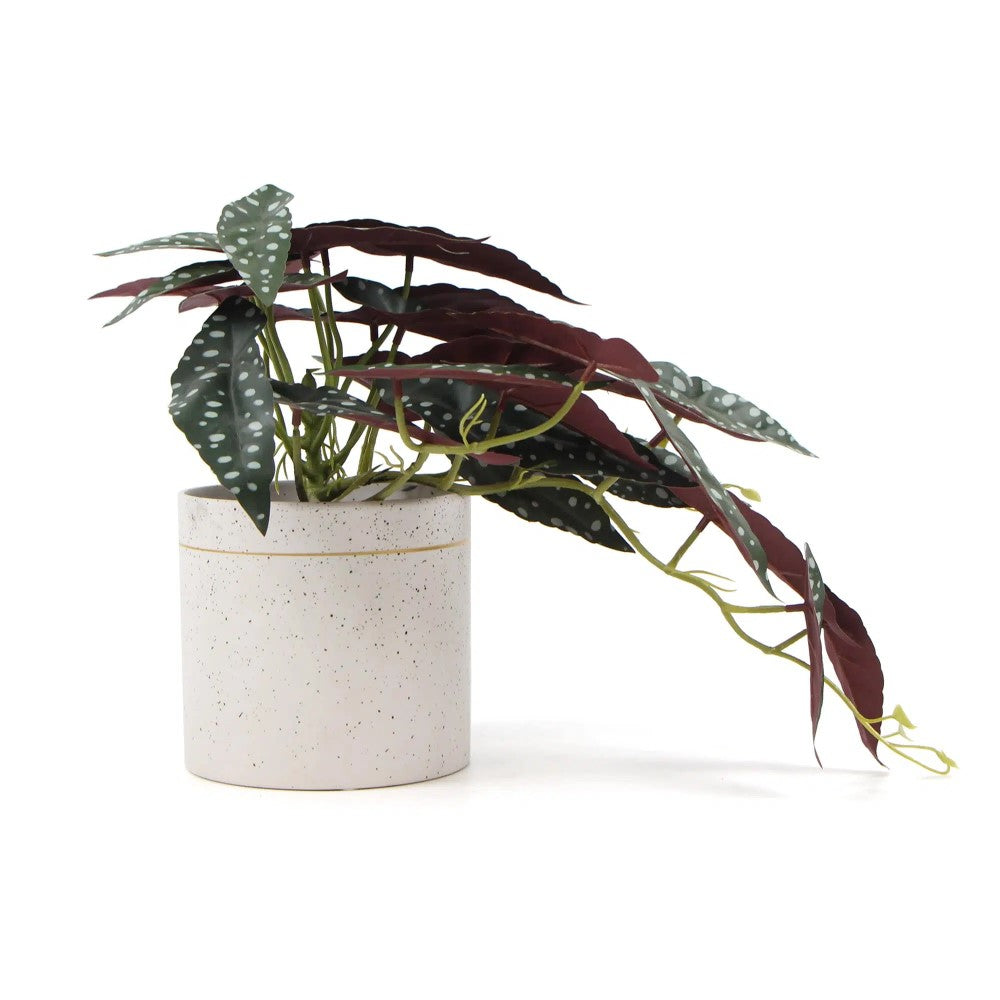 Artificial Begonia Maculata Plant 30cms