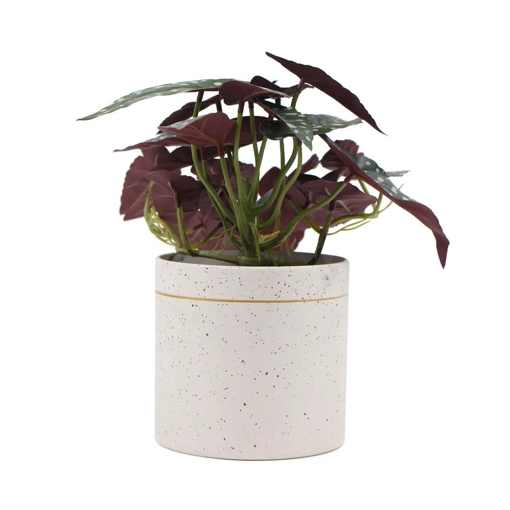 Artificial Begonia Maculata Plant 30cms