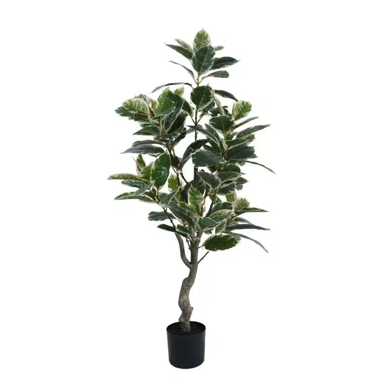 Artificial Bushy Ficus Rubber Tree 120cms