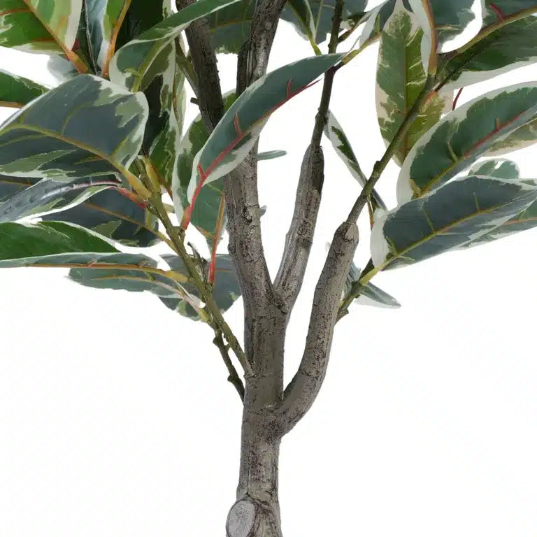 Artificial Bushy Ficus Rubber Tree 120cms