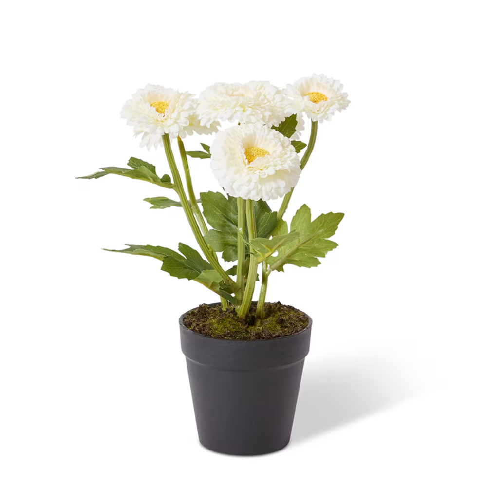 Artificial Chrysanthemum Spray Plant Pot- White - 26cms