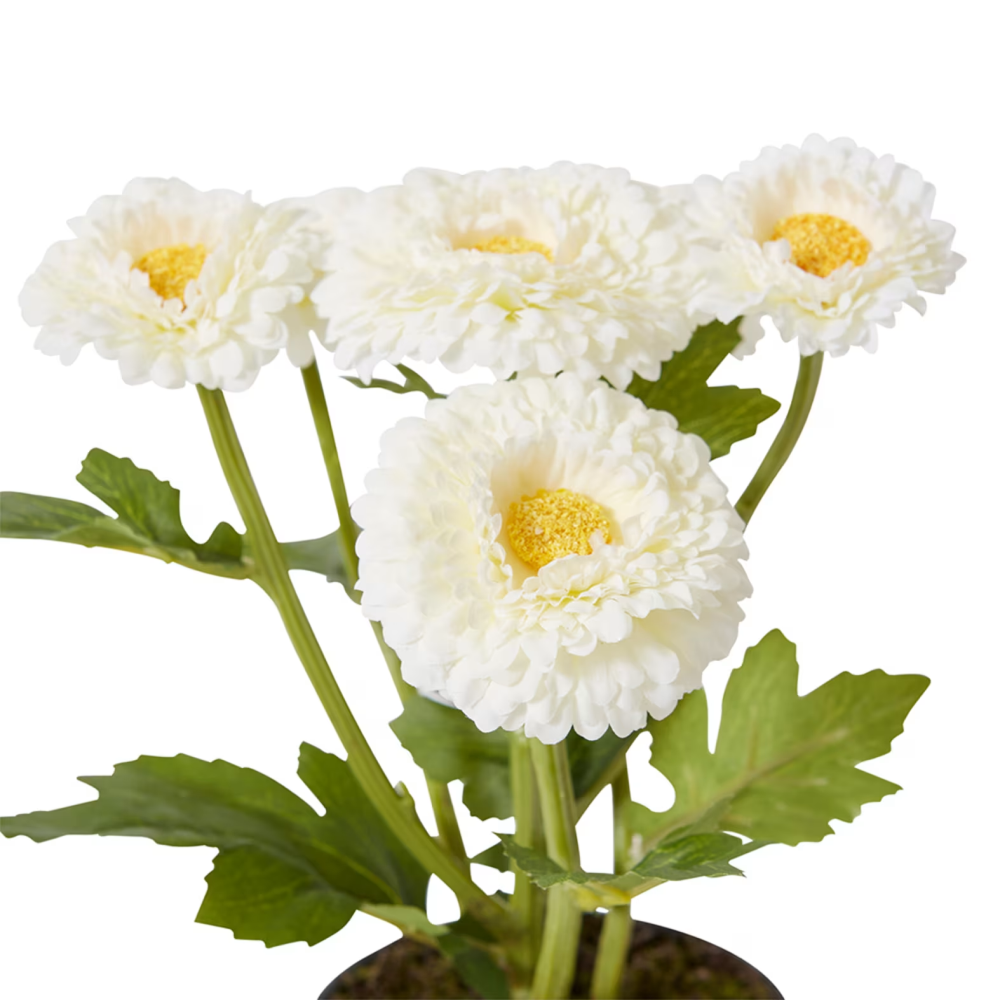 Artificial Chrysanthemum Spray Plant Pot- White - 26cms
