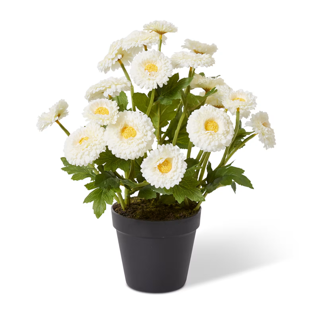 Artificial Chrysanthemum Spray Plant Pot- White - 38cms