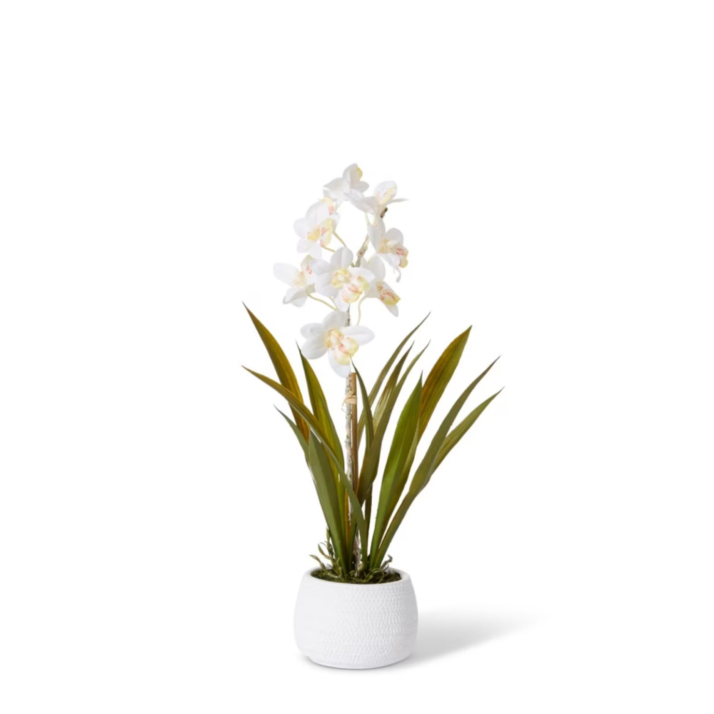 Artificial Cymbidium Hybrid Dimple Pot- White - 54cms