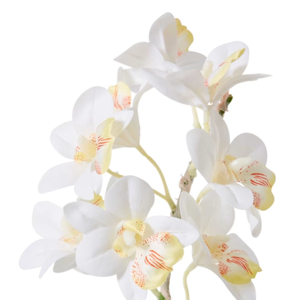 Artificial Cymbidium Hybrid Dimple Pot- White - 54cms