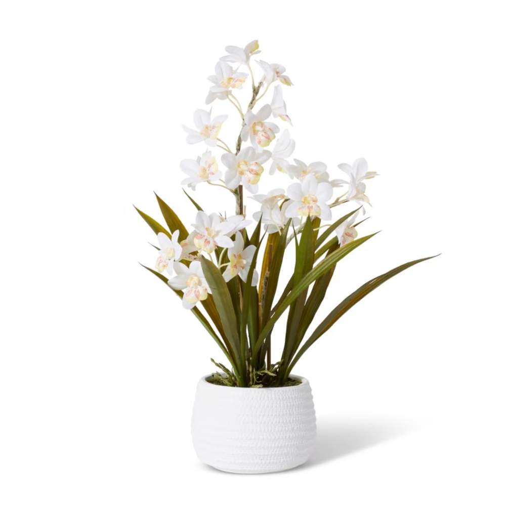 Artificial Cymbidium Hybrid Dimple Pot- White - 56cms