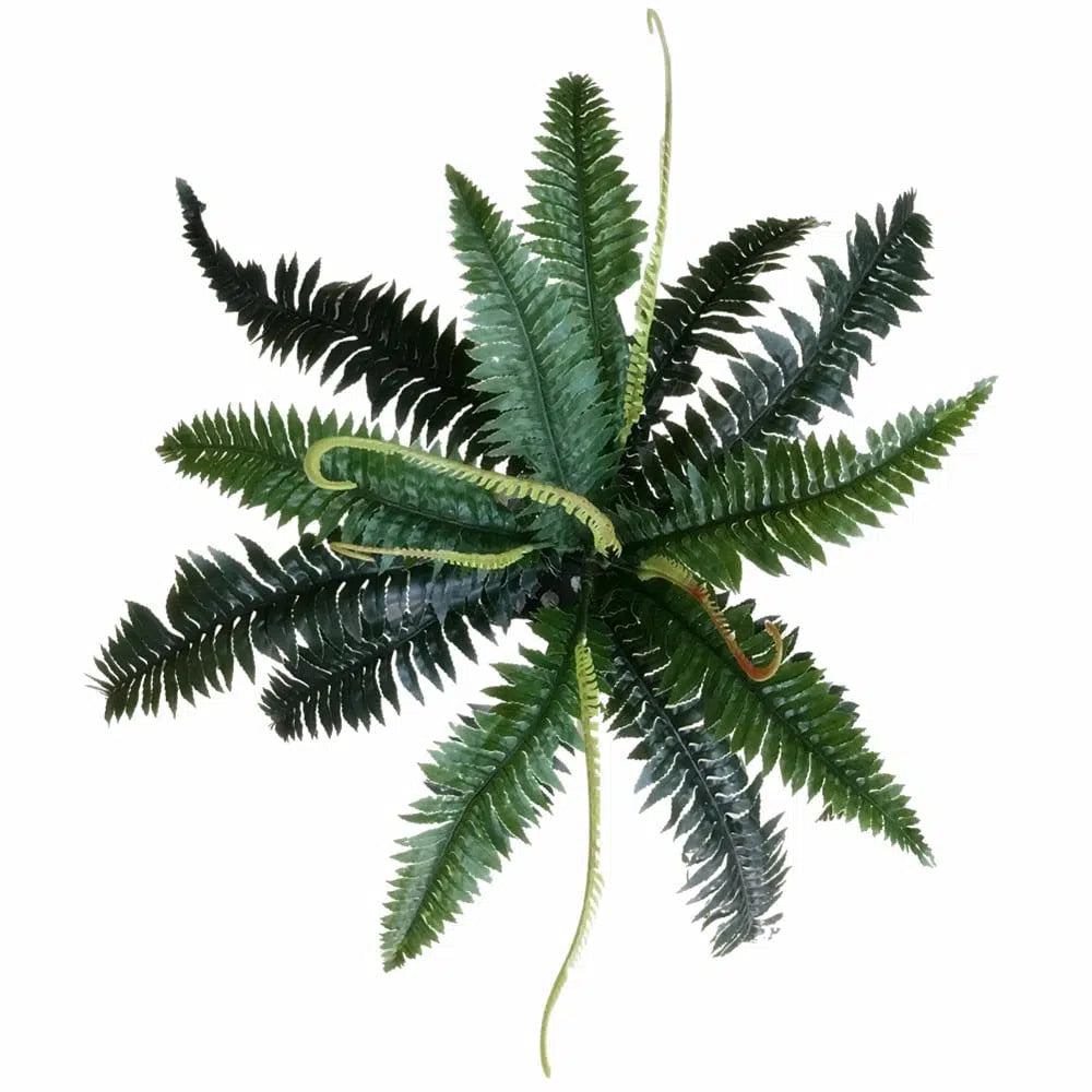 Artificial Dark Green Boston Fern 60cms