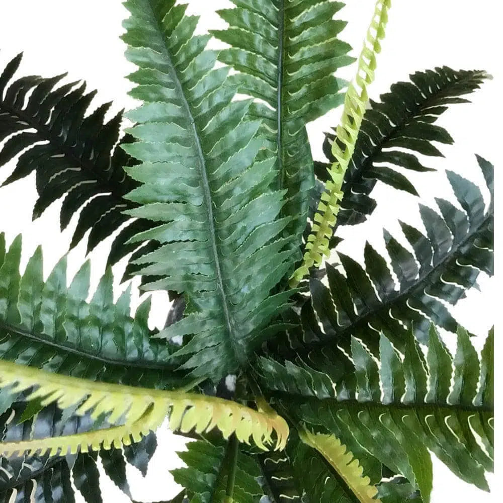 Artificial Dark Green Boston Fern 60cms