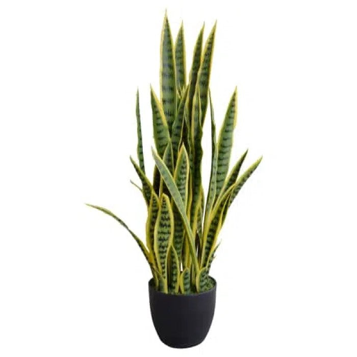Artificial Faux Yellow Tongue Snake Plant 100cms