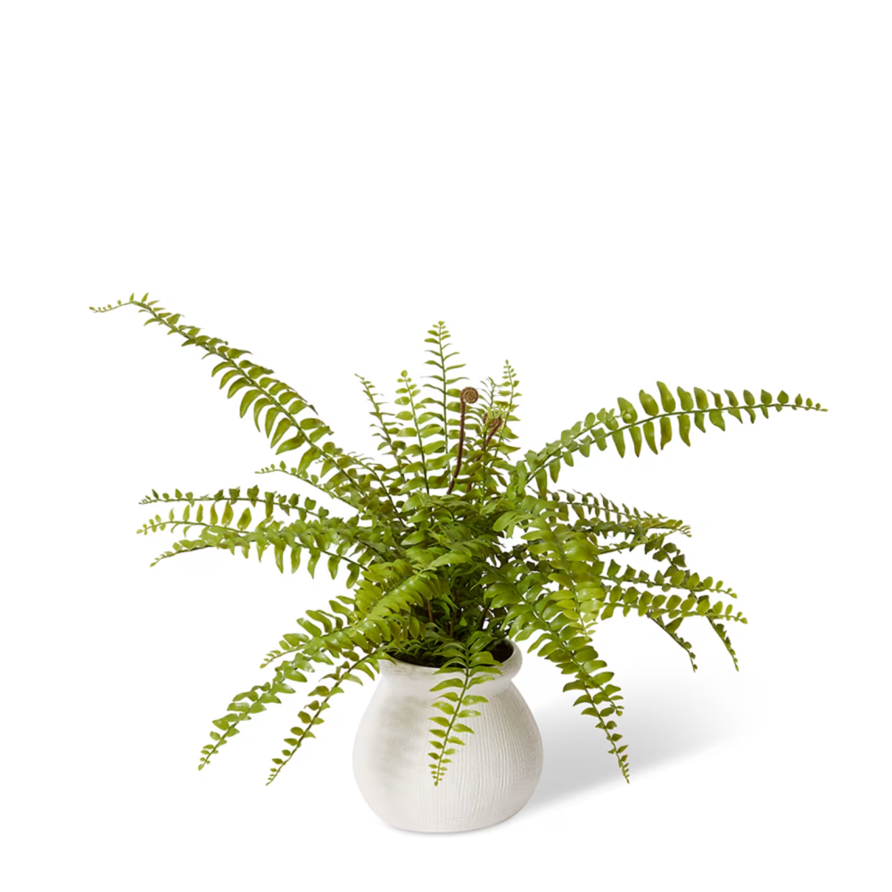 Artificial Fern Lush Boston - Wanda Vase - 60cms