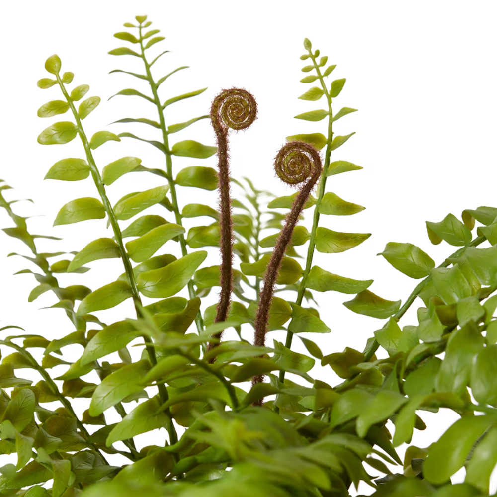 Artificial Fern Lush Boston - Wanda Vase - 60cms