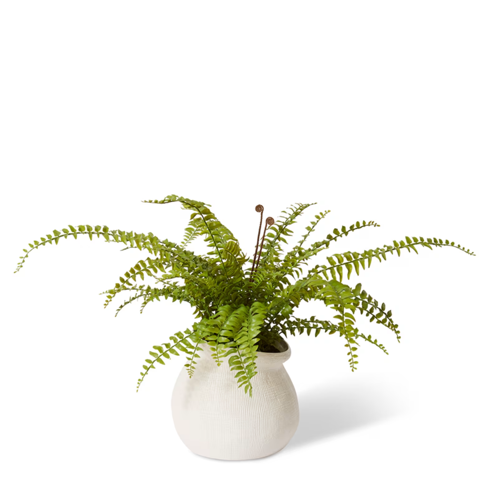 Artificial Fern Lush Boston - Wanda Vase - 66cms