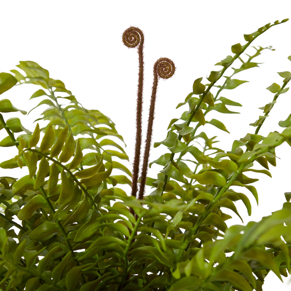 Artificial Fern Lush Boston - Wanda Vase - 66cms