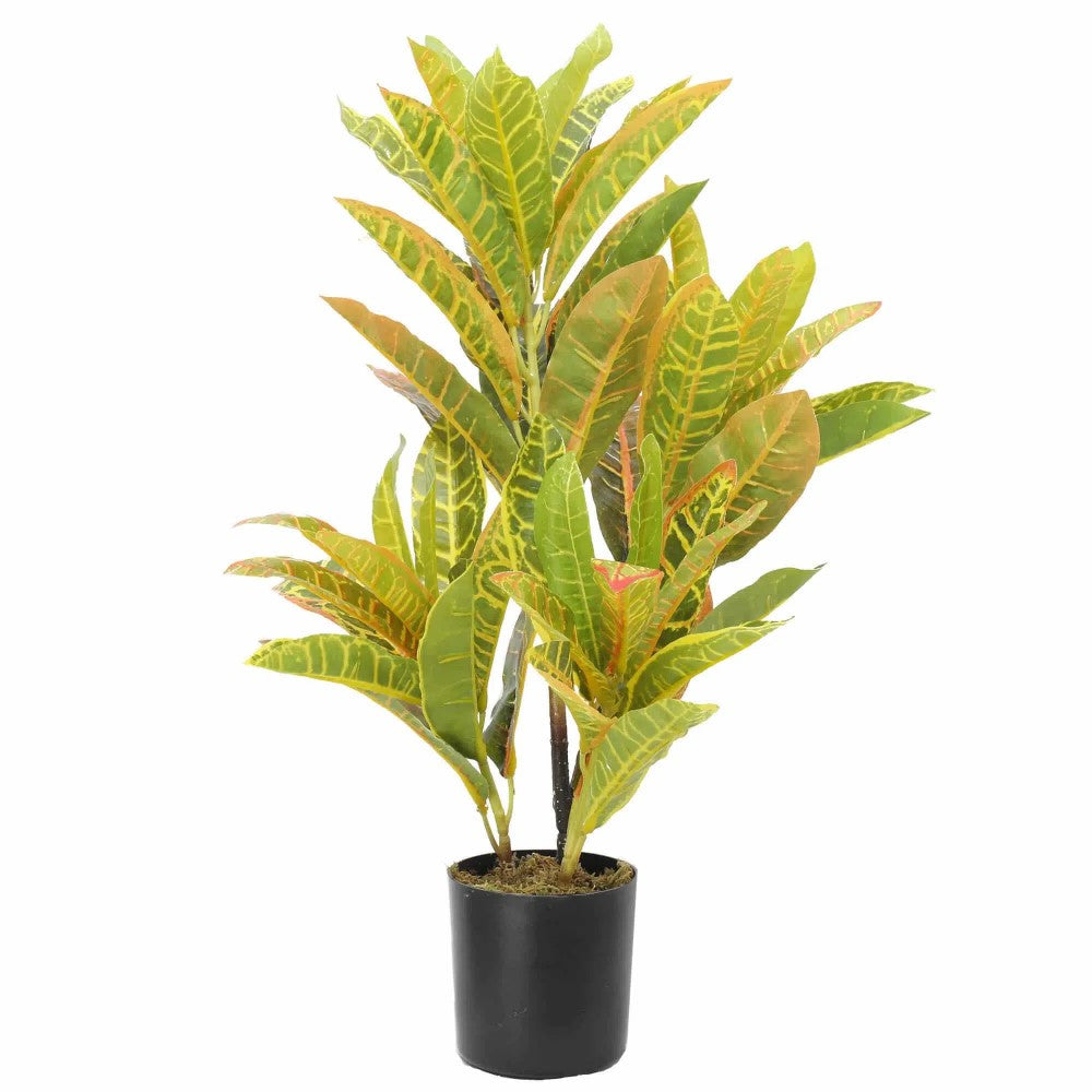 Artificial Flaming Zebra Codiaeum Variegatum 55cms