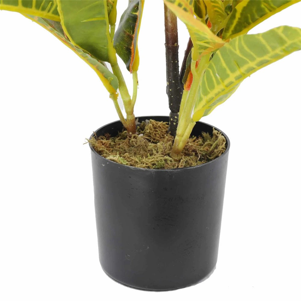 Artificial Flaming Zebra Codiaeum Variegatum 55cms