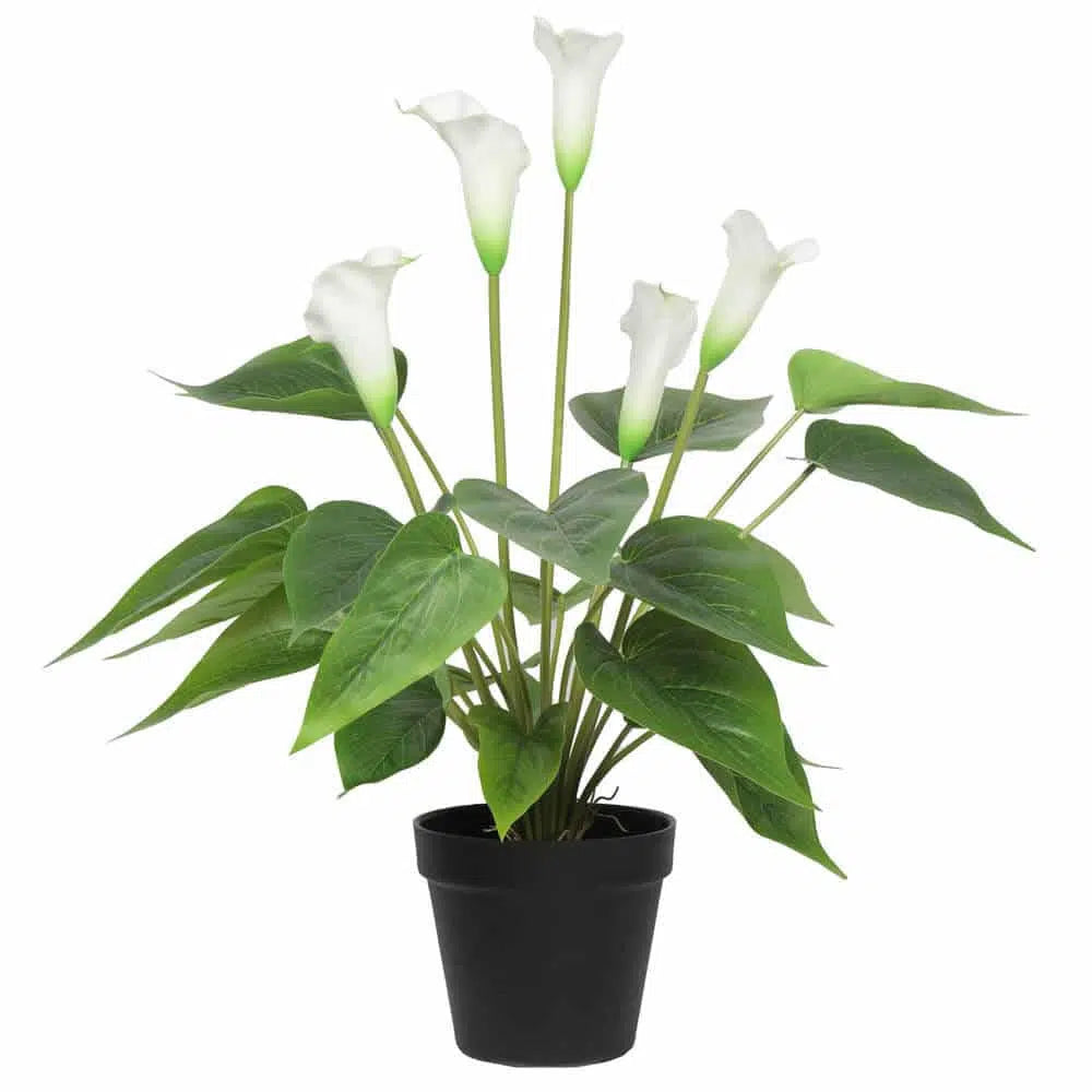 Artificial Flowering White Peace Lily Plant 50cms