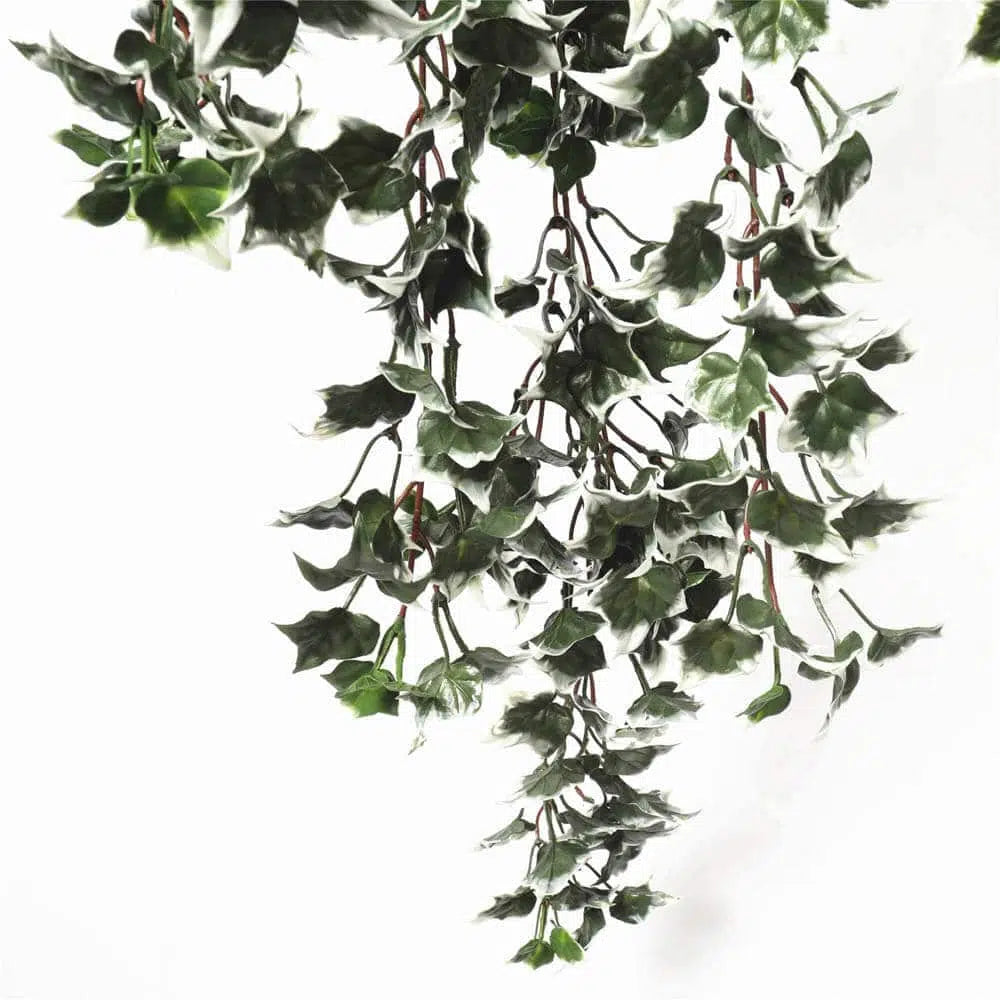 Artificial Green And White UV Resistant Ivy Bush 80cms